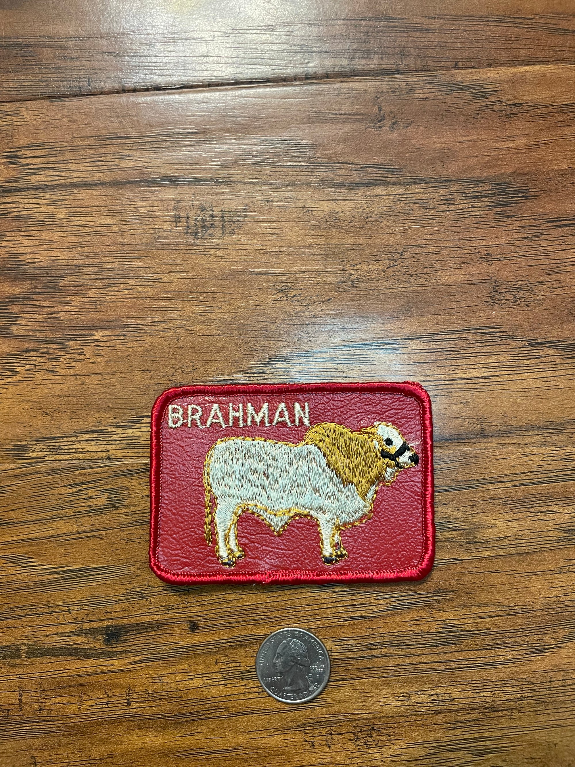 Vintage Brahman