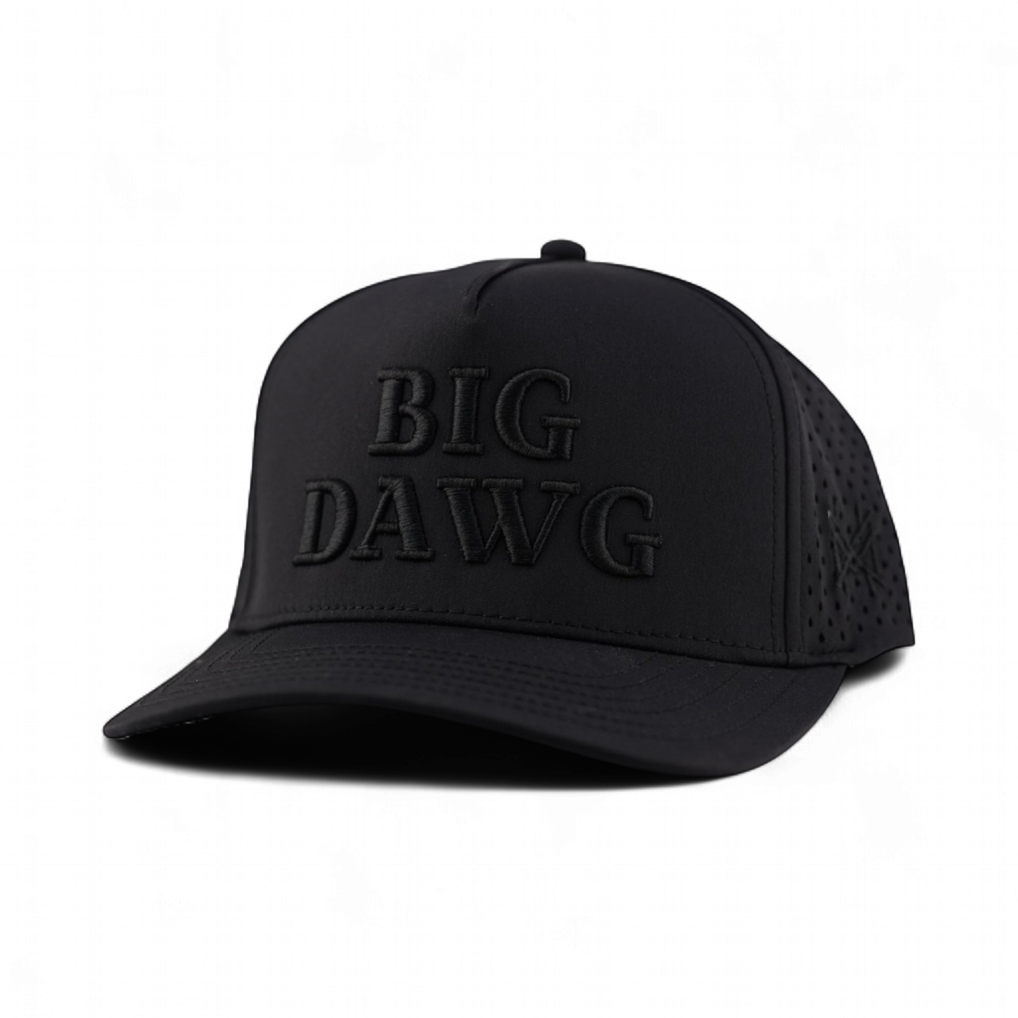 Big Dawg Snapback Hat