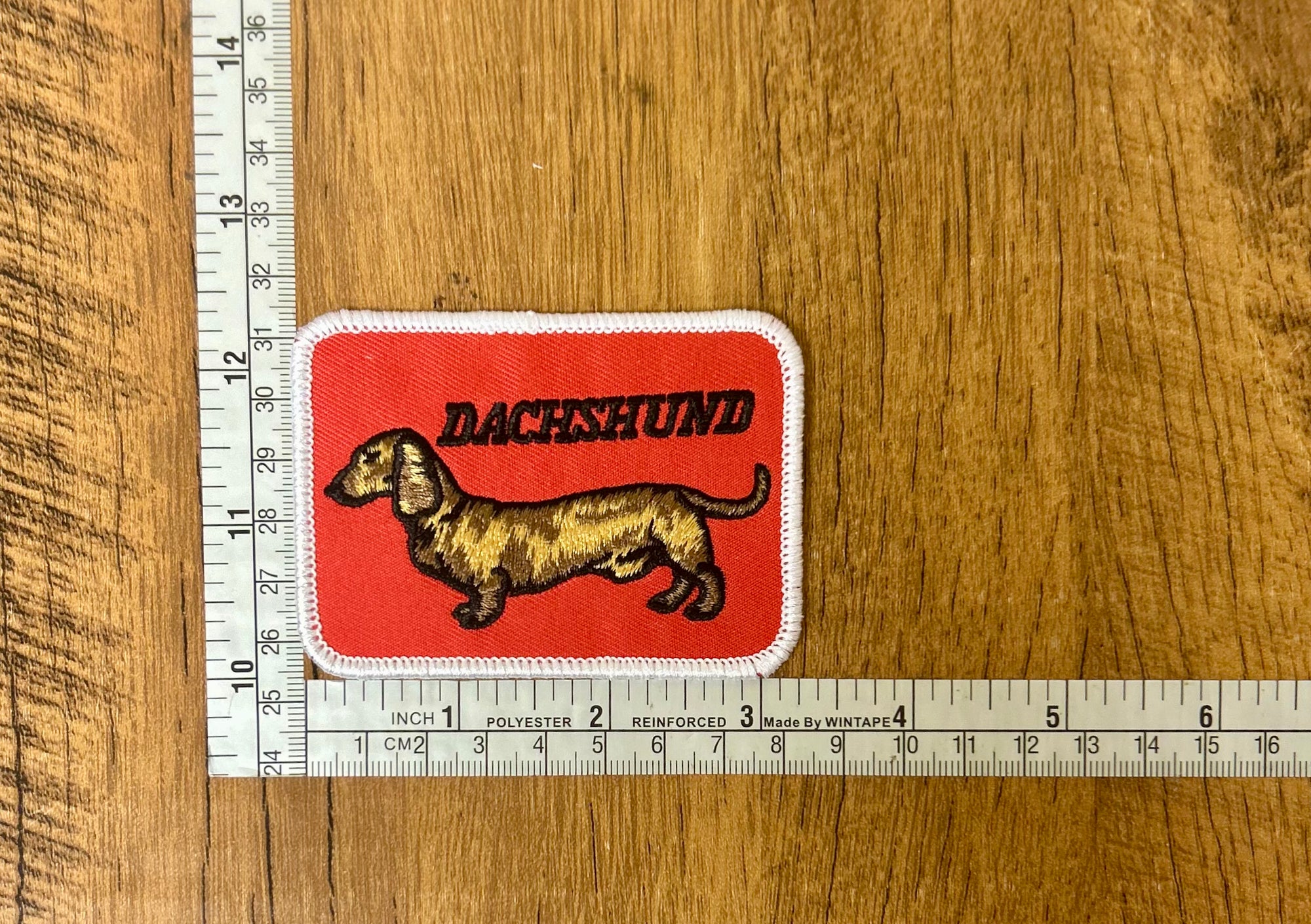 Dachshund