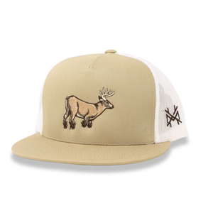 Buck