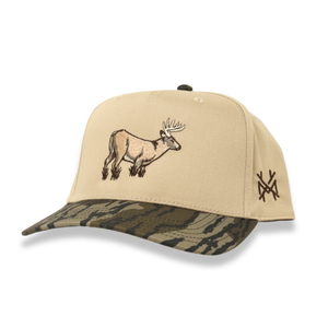 Buck