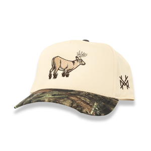 Buck