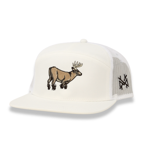Buck