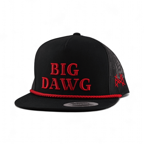 Big Dawg Snapback Hat | madhatter