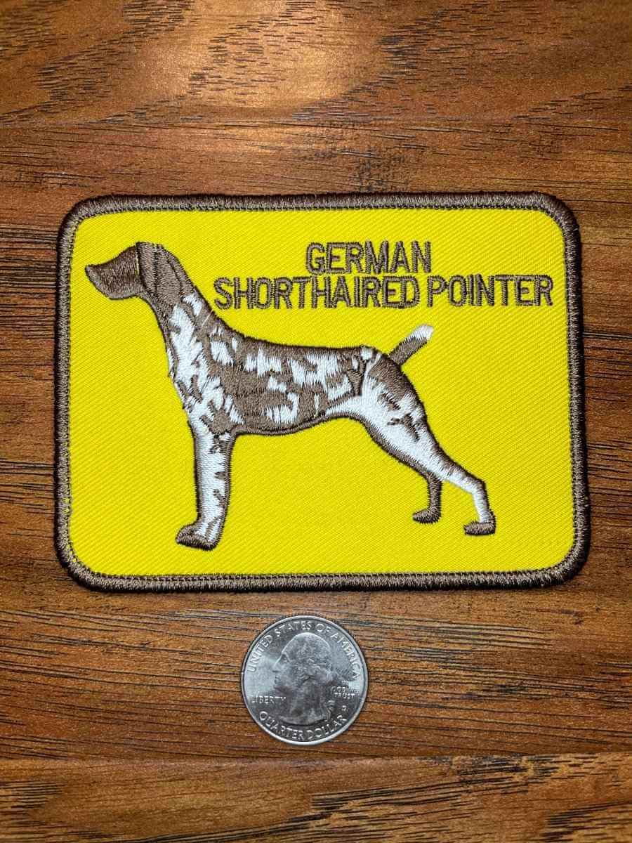 German Shorthaired Pointer