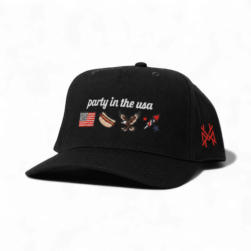 Party in the USA Snapback Hat | madhatter