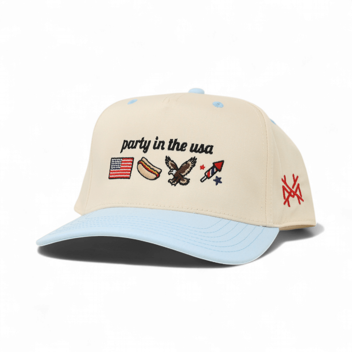 Party in the USA Snapback Hat | madhatter