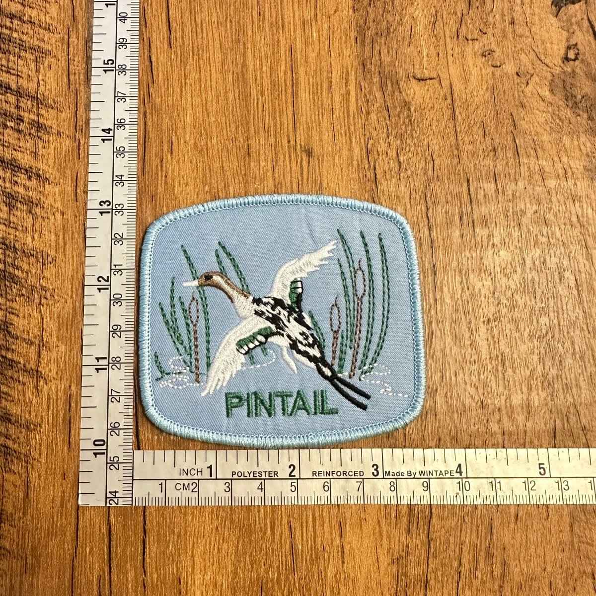 Pintail Duck