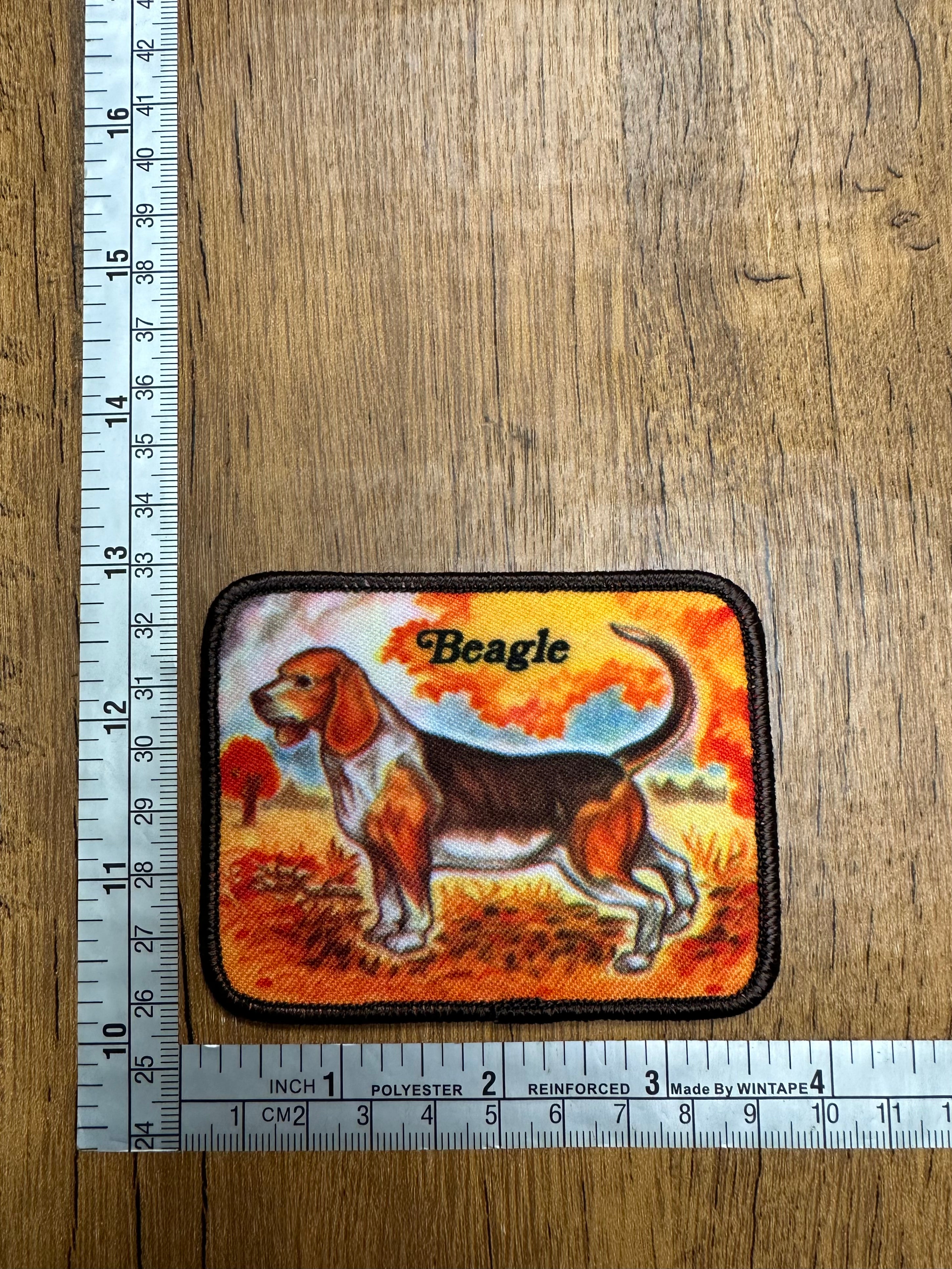 Beagle