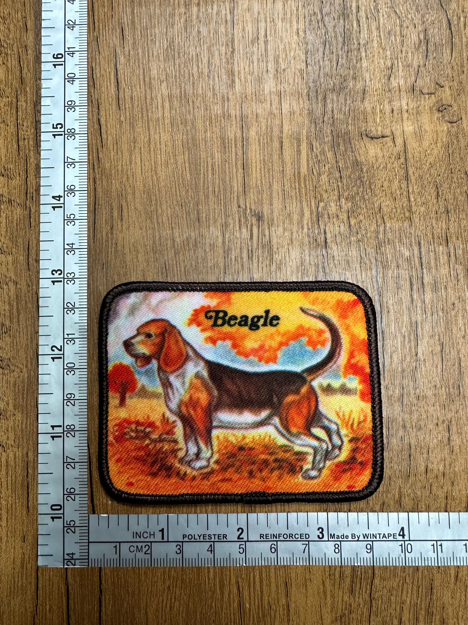Beagle