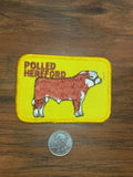 Vintage Polled Hereford