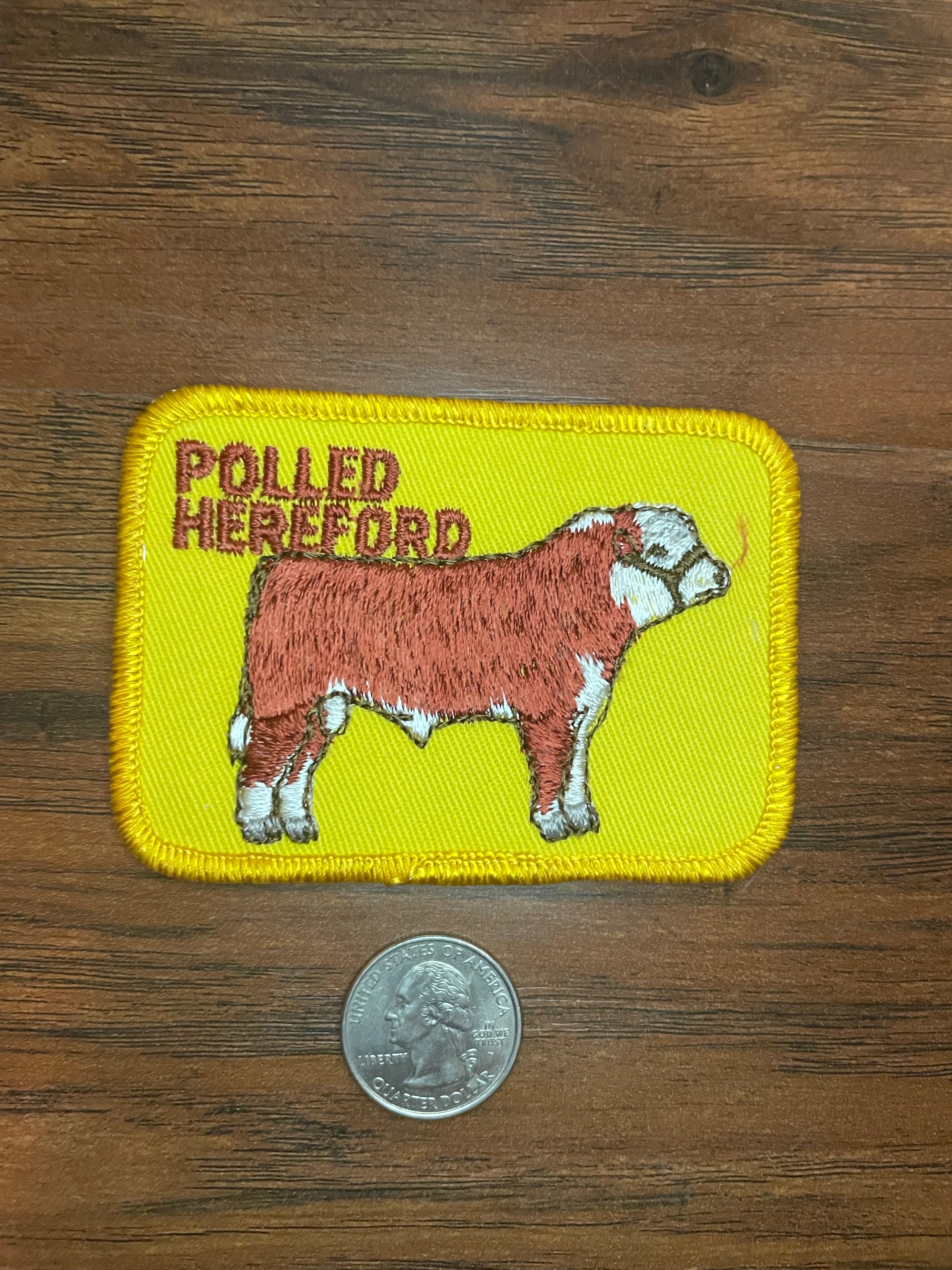 Vintage Polled Hereford