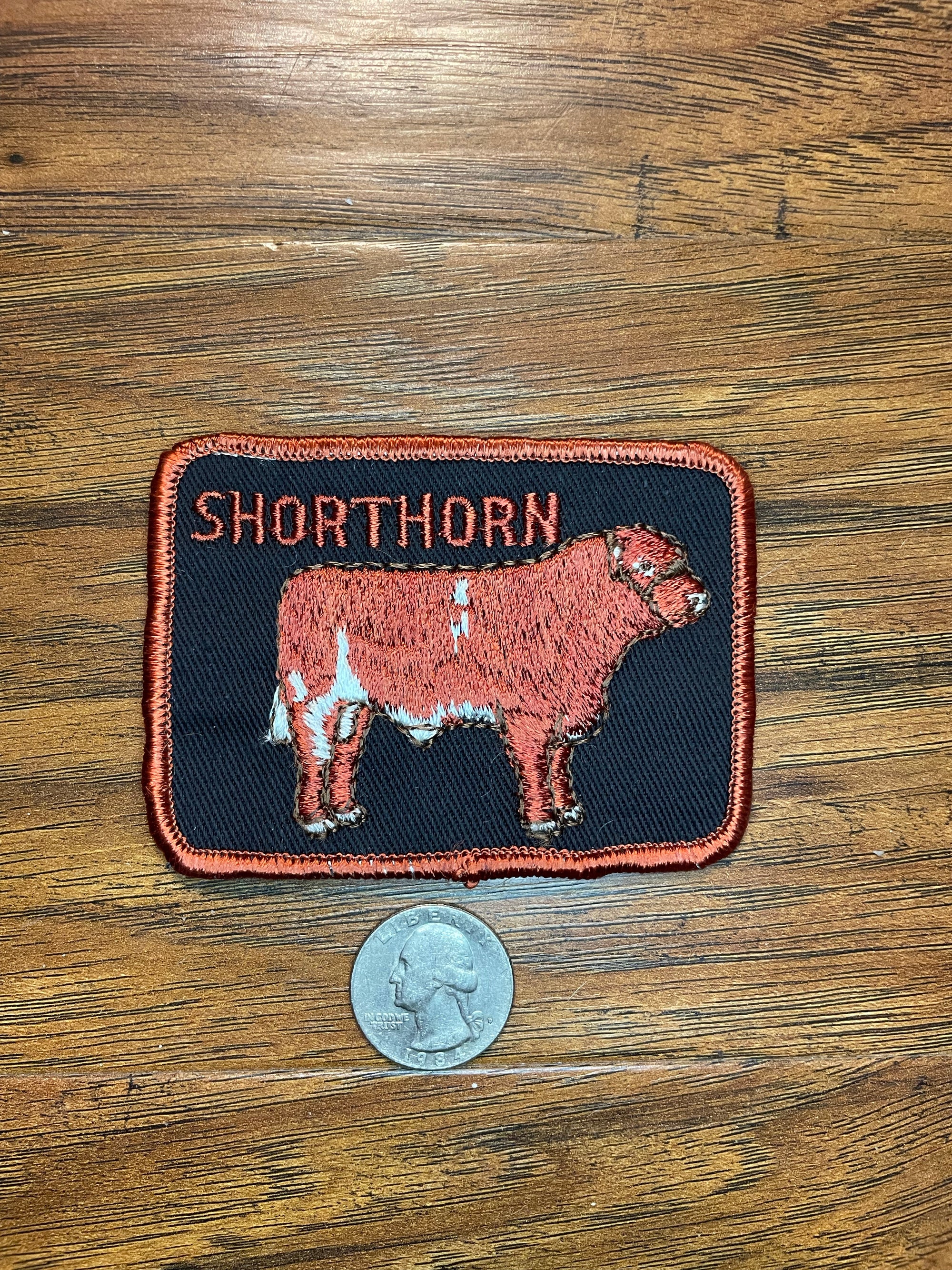 Vintage Shorthorn