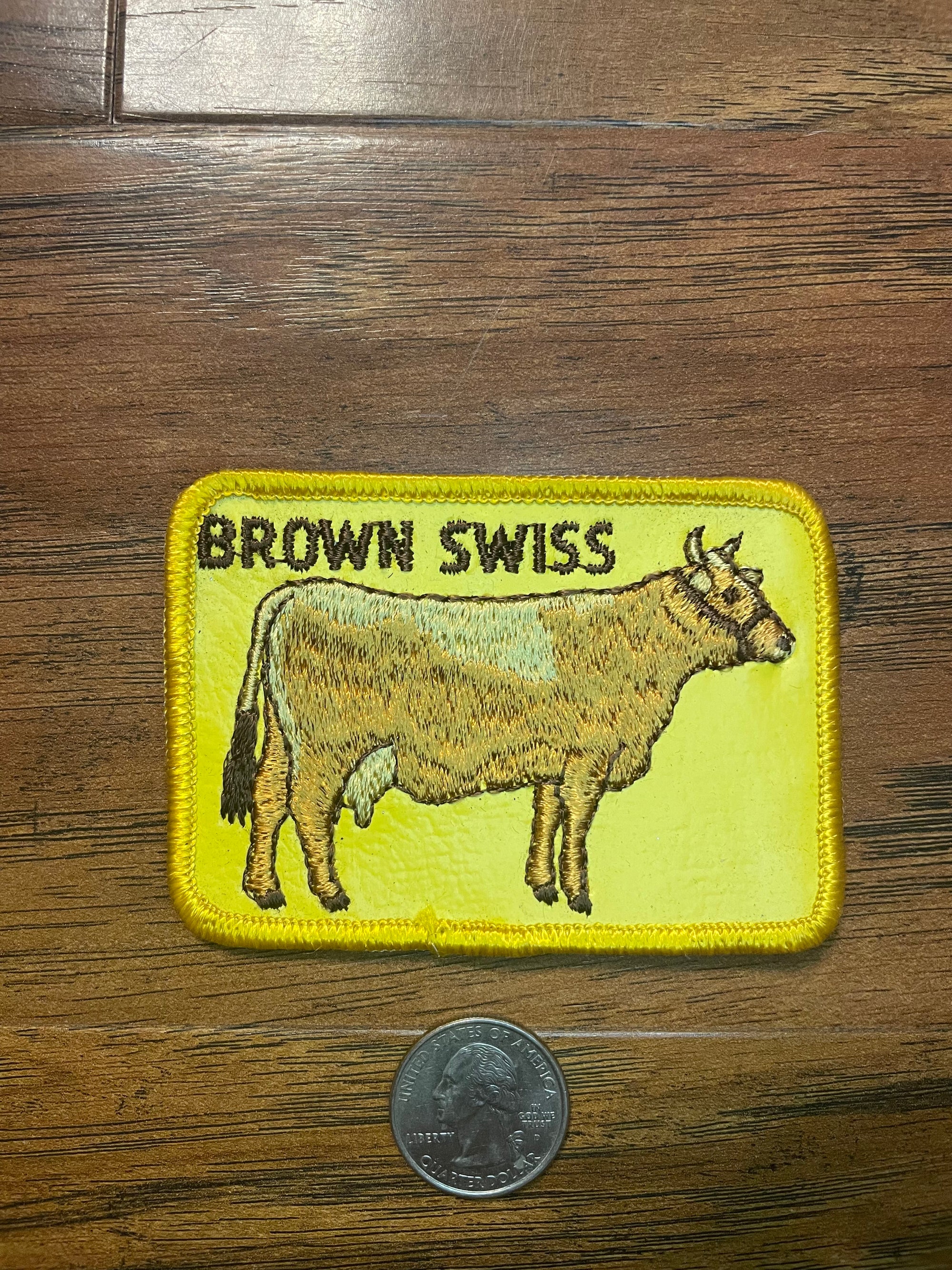Vintage Brown Swiss