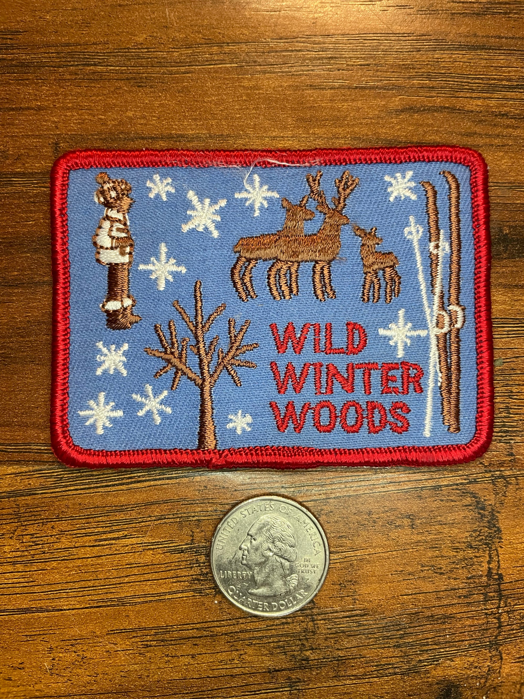 Vintage Wild Winter Woods