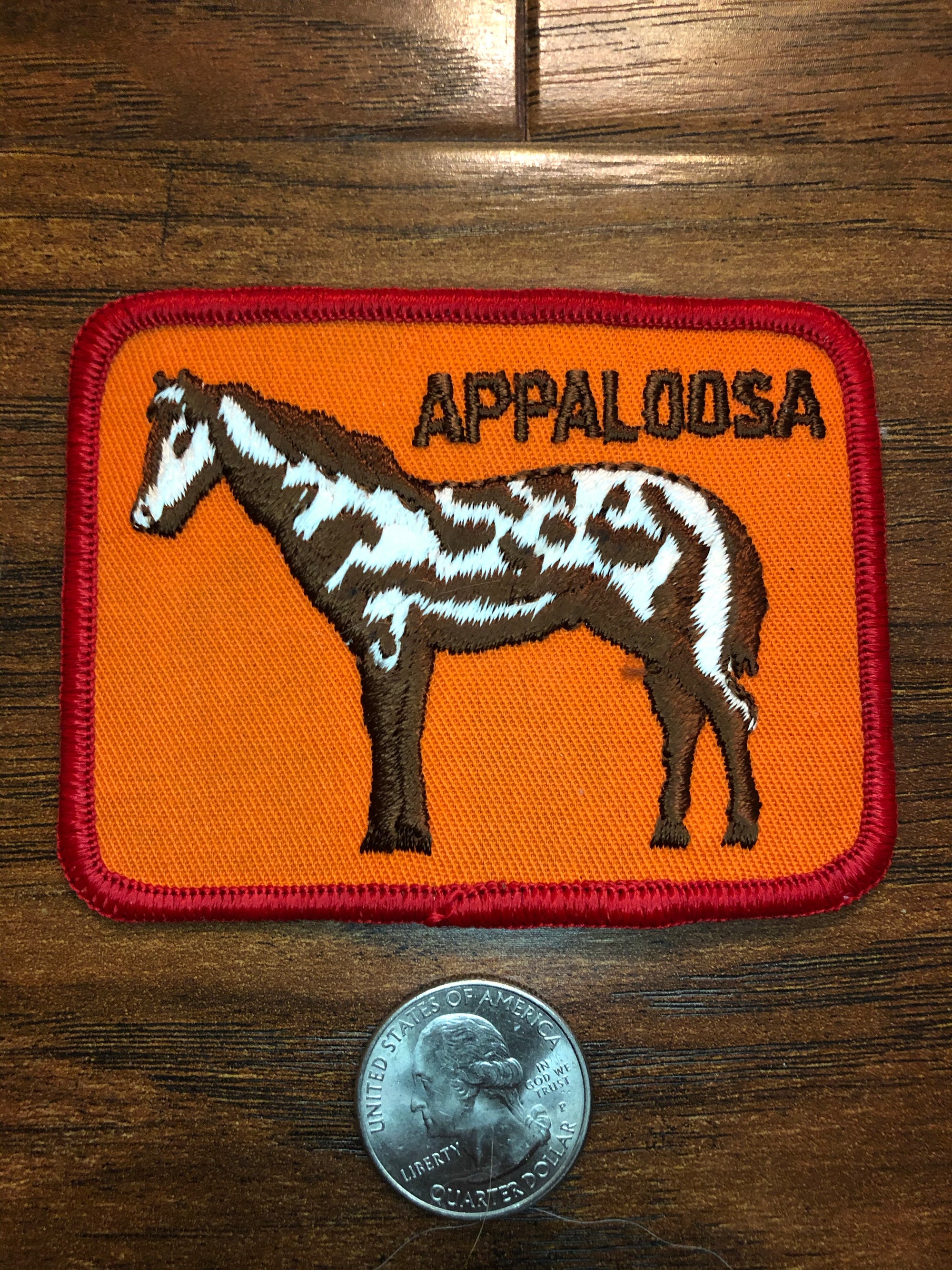 Vintage Appaloosa Horse