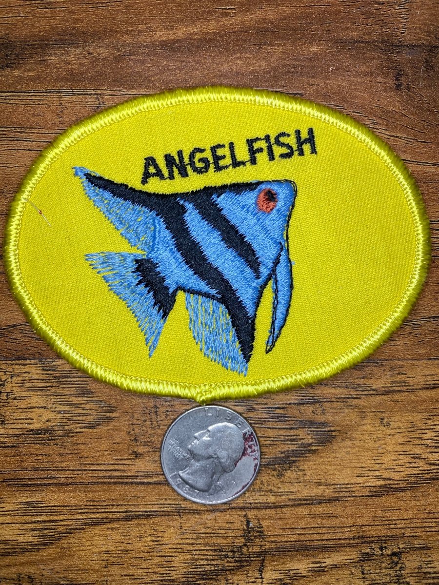 Vintage Angelfish - The Mad Hatter Company