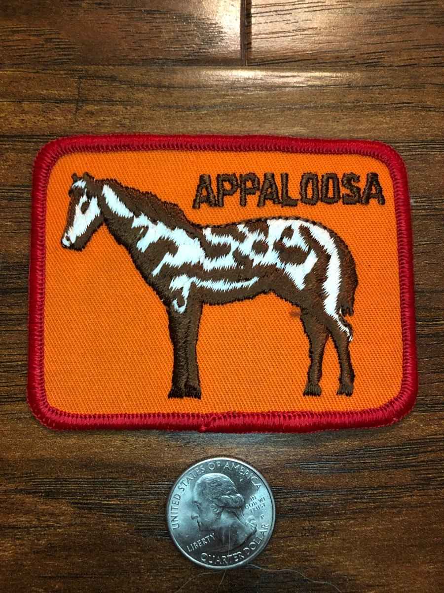 Vintage Appaloosa Horse