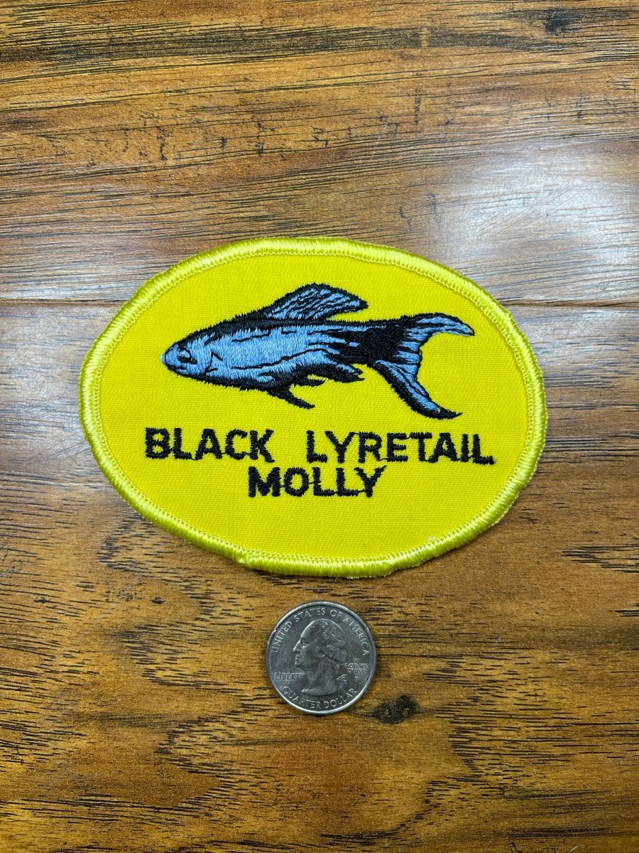 Vintage Black Lyretail Molly - The Mad Hatter Company