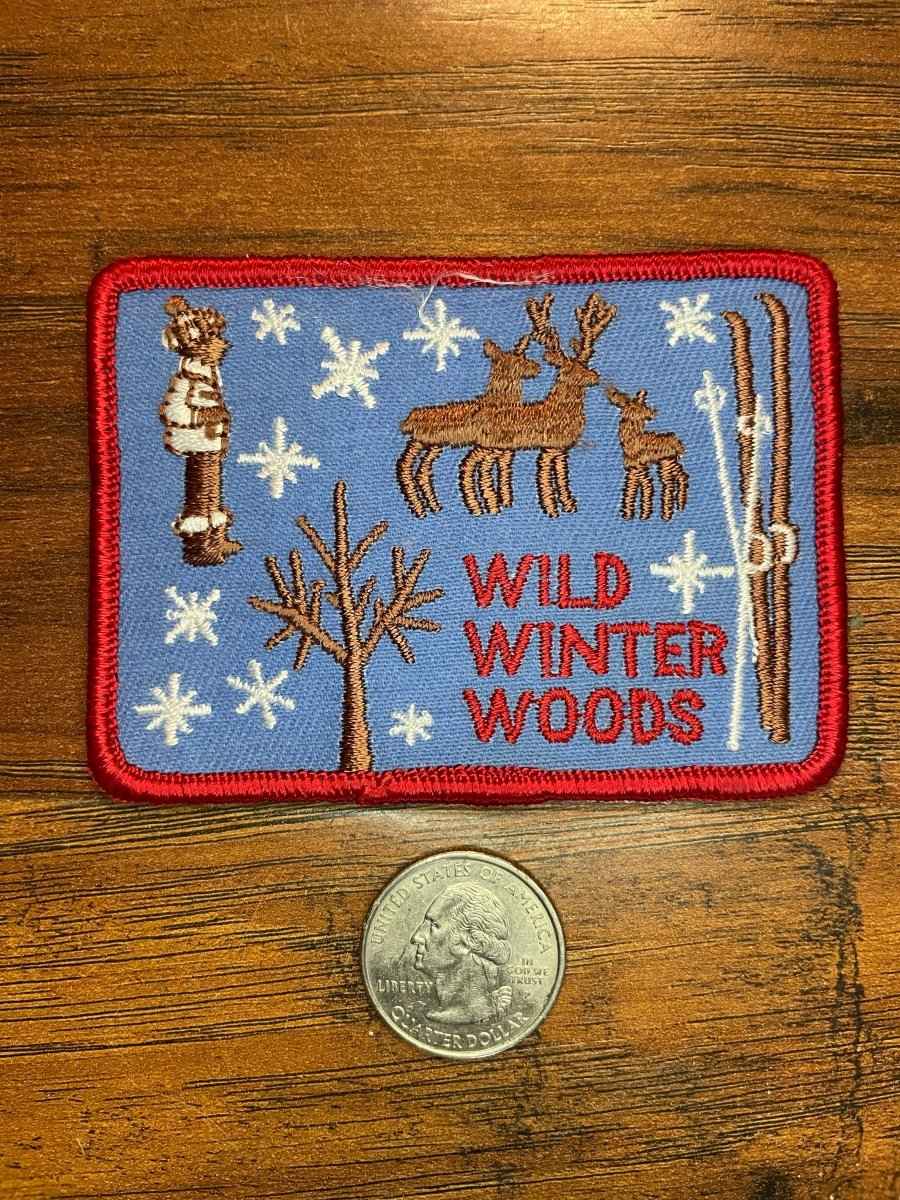 Vintage Wild Winter Woods